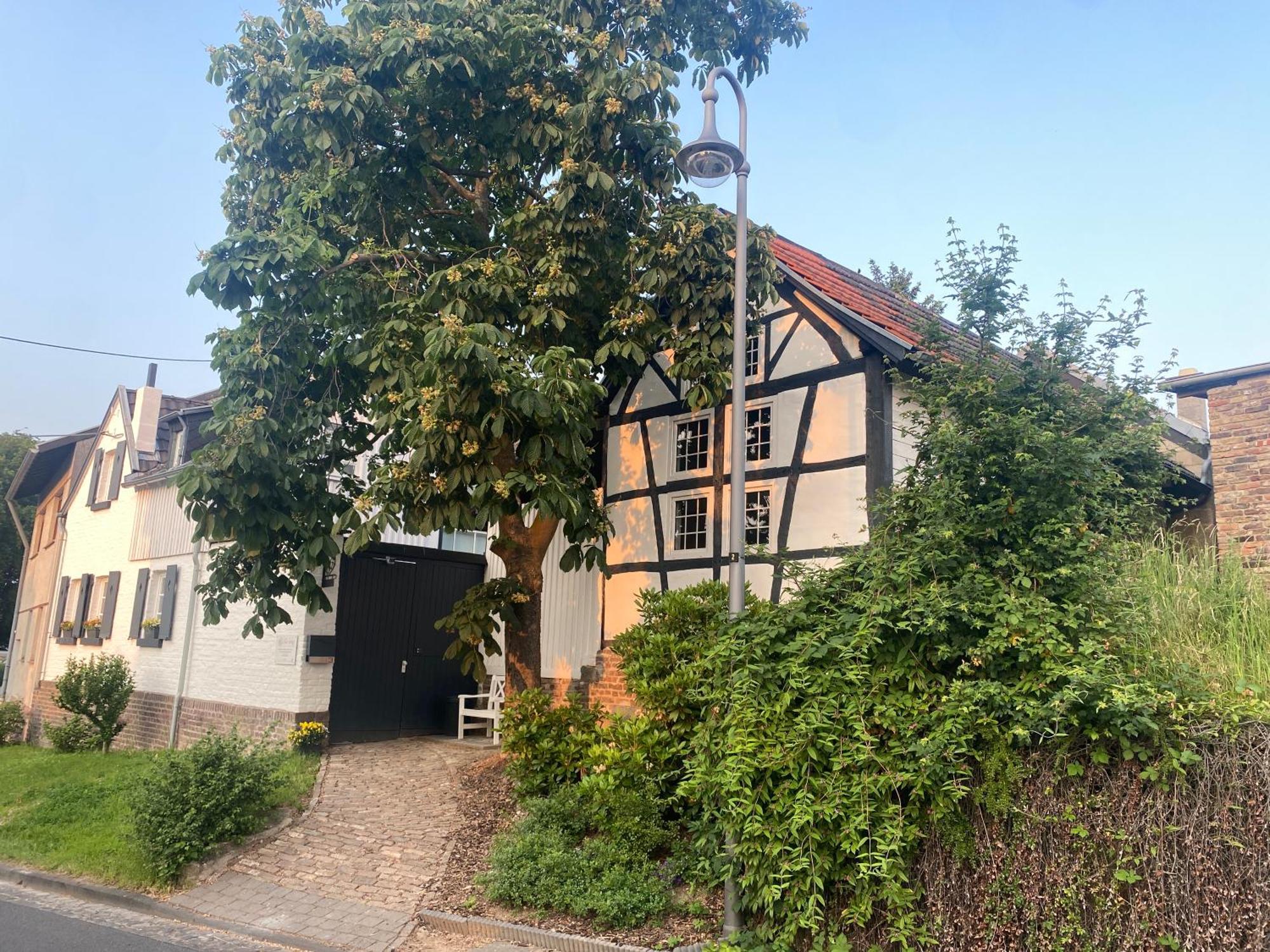 Scheunentraum Brenig Bornheim  Buitenkant foto